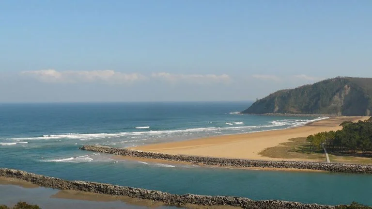 ria de rodileslq